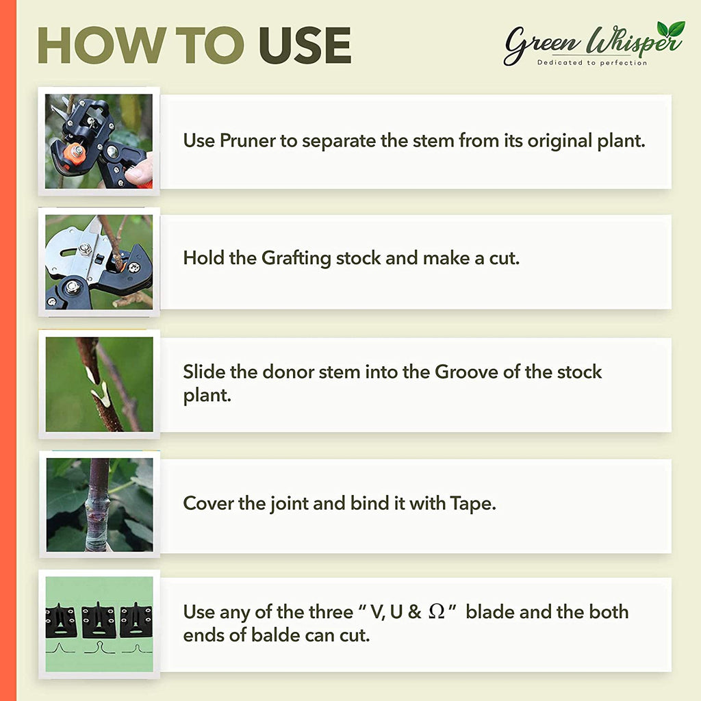 مقص تطعيم أشجار احترافي بشفرتين | فولاذ كربوني - Ciseau de Greffage Professionnel Quickdz Shop | Lames Acier Carbone