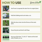 مقص تطعيم أشجار احترافي بشفرتين | فولاذ كربوني - Ciseau de Greffage Professionnel Quickdz Shop | Lames Acier Carbone