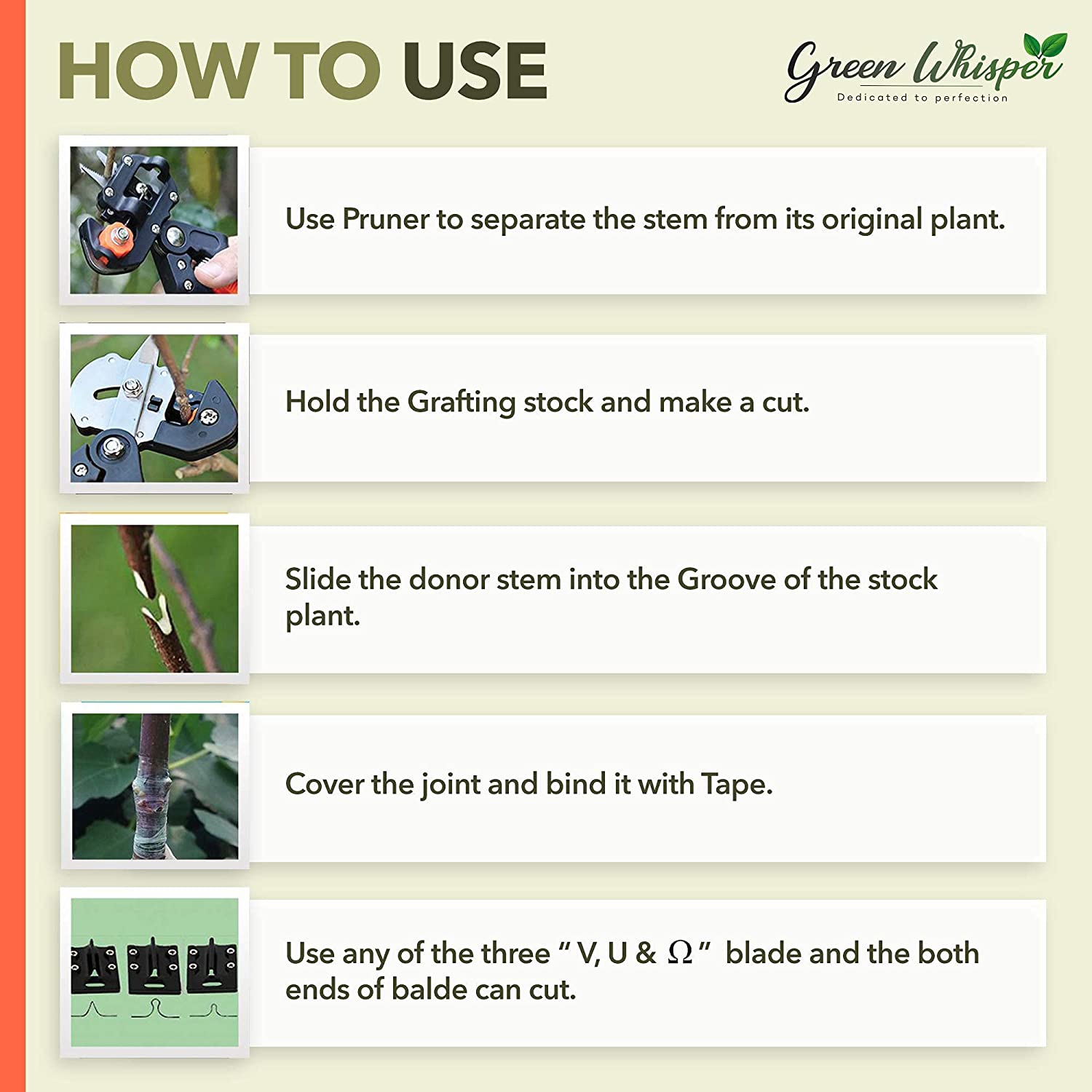 مقص تطعيم أشجار احترافي بشفرتين | فولاذ كربوني - Ciseau de Greffage Professionnel Quickdz Shop | Lames Acier Carbone