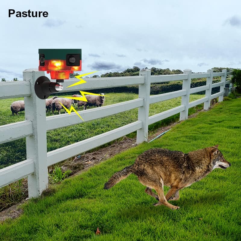 Répulsif pour animeux Capteur de mouvement à énergie solaire, alarme sonore et lumineuse 6 LED - مستشعر حركة يعمل بالطاقة الشمسية لطارد الحيوانات