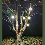 Lampe Led Suspendue En Forme De Boule Décorative, Rechargeable Par Usb, Pour Camping Intérieur Et Extérieur, En Forme De Lune Ou De Terre, 1 Pièce