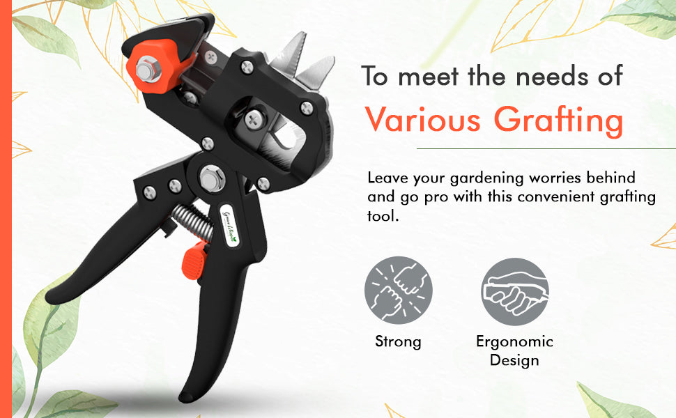 مقص تطعيم أشجار احترافي بشفرتين | فولاذ كربوني - Ciseau de Greffage Professionnel Quickdz Shop | Lames Acier Carbone