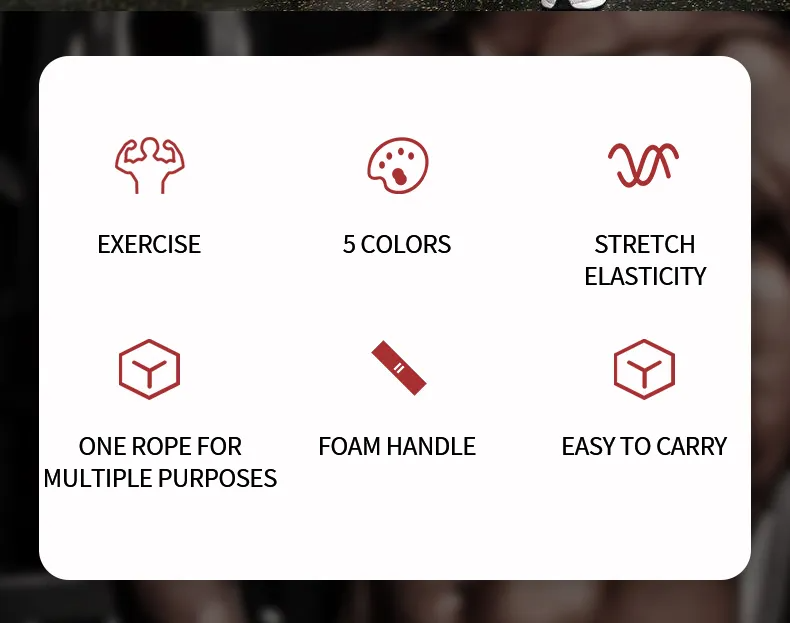 مجموعة أحزمة المقاومة 11 قطعة للرياضة المنزلية - Ensemble de Bandes de Résistance 11 pcs pour Sport à Domicile