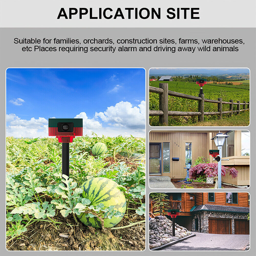 Répulsif pour animeux Capteur de mouvement à énergie solaire, alarme sonore et lumineuse 6 LED - مستشعر حركة يعمل بالطاقة الشمسية لطارد الحيوانات